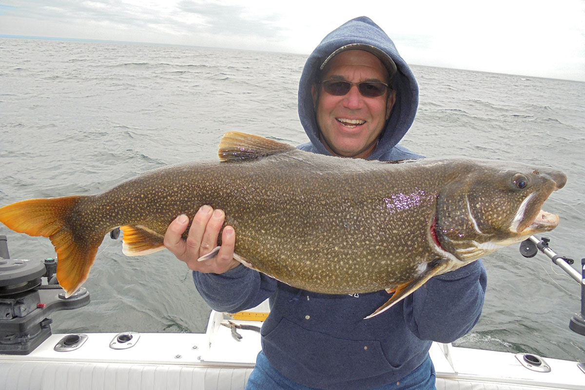 Lake Trout