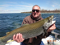 Brown Trout Fishing on Lake Ontario